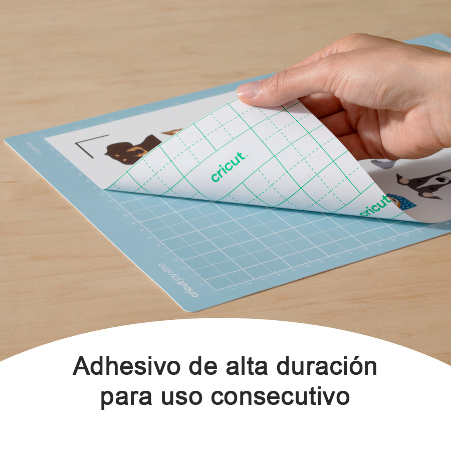 Carrier Sheet MISCELLANEOUS 12 x 12" Cricut