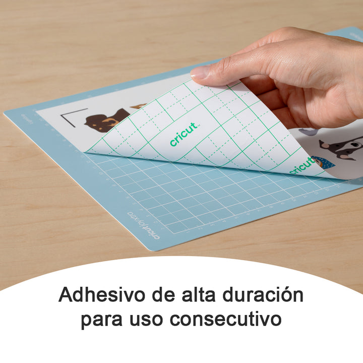 Carrier Sheet MISCELLANEOUS 12 x 12" Cricut