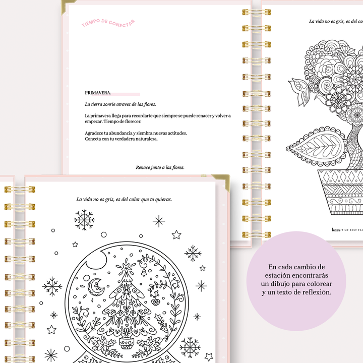 My Best Year Planner ♡ (2024-2025)